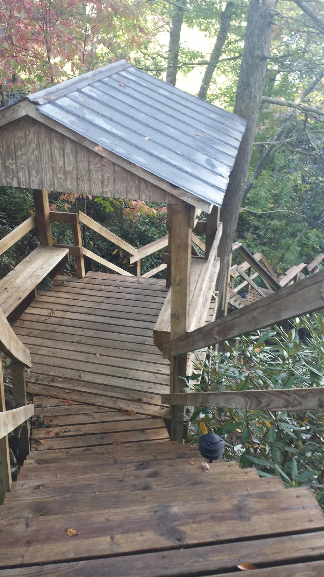 Metal roofed shelter over wooden steps on a wooded walkway — Skylight Repair & Installation work by our crew in Bush
